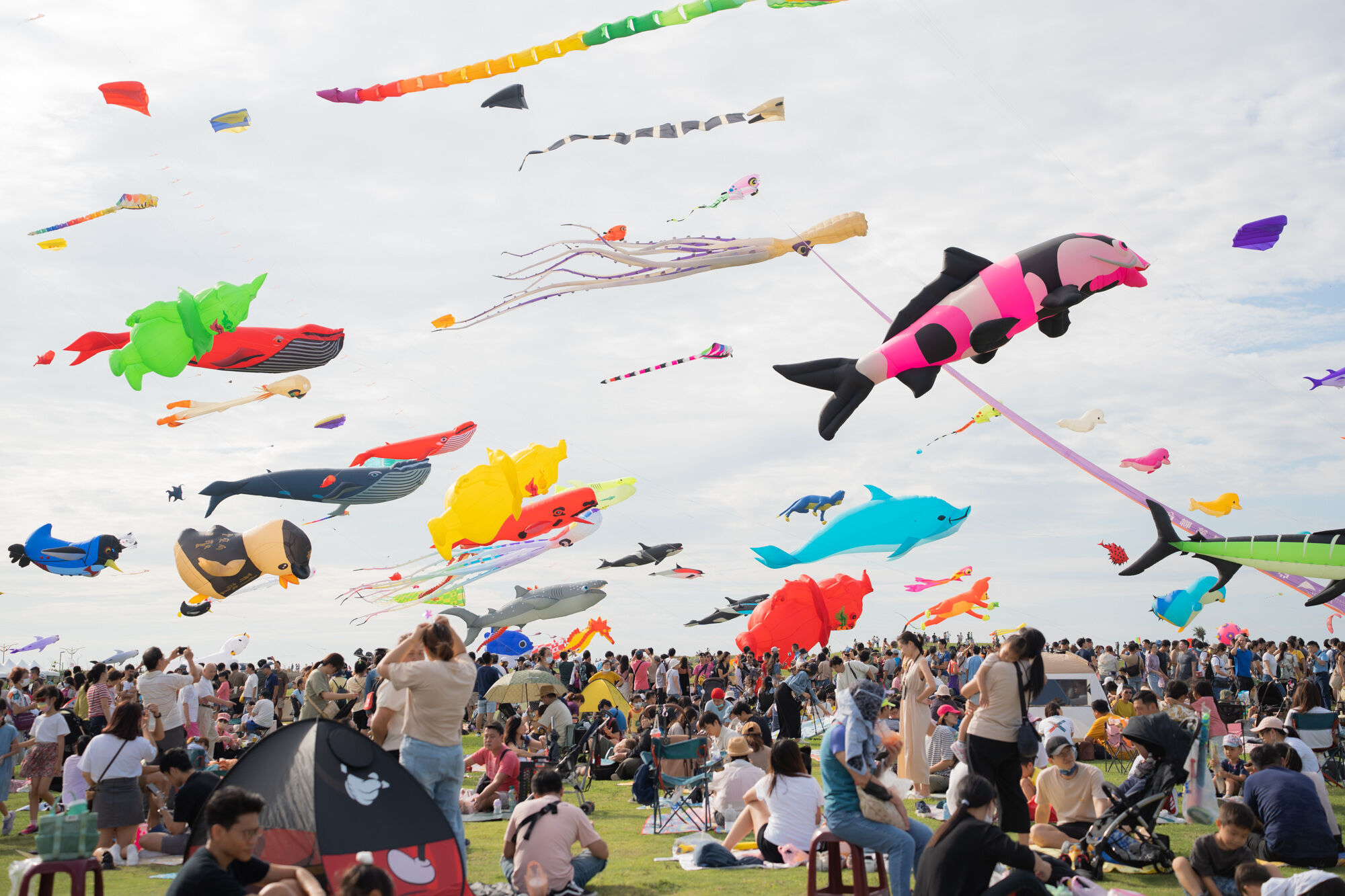 市府舉辦國際風箏節等大型藝文活動，成功帶動城市觀光旅遊經濟。